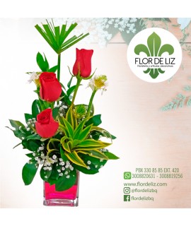 SOLITARIO AMOR INFINITO EN ROSAS ROJAS